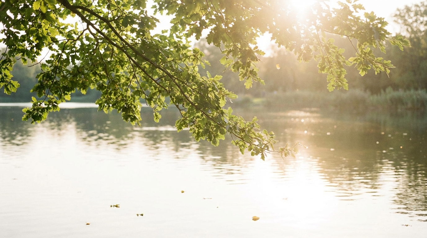 Why Doing Less Can Make You More Productive