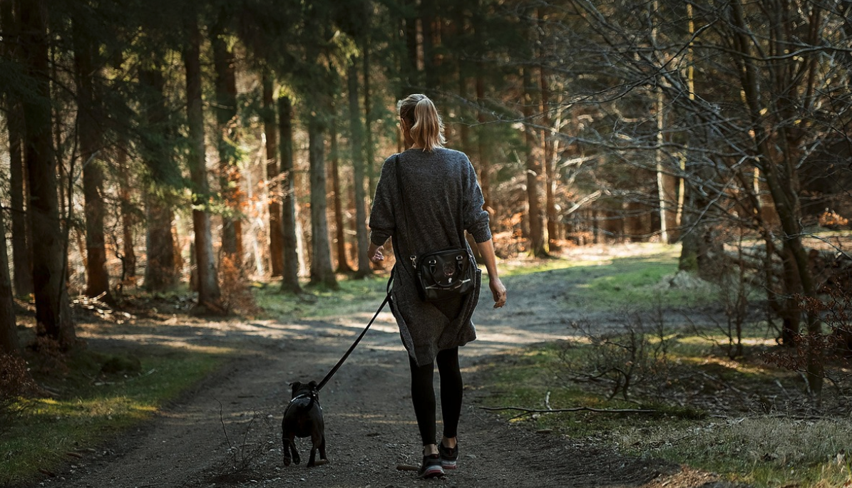 Why Walking Daily Improves Your Life